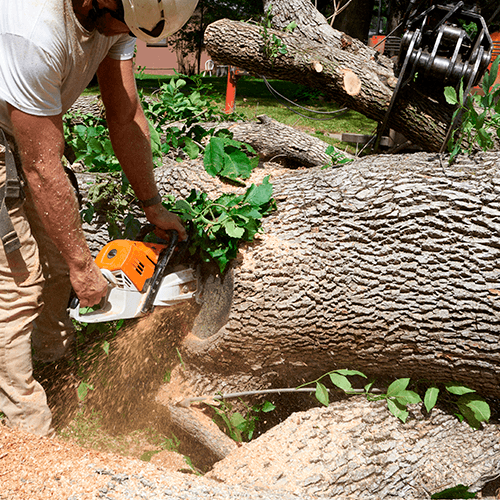 Committed to Excellence