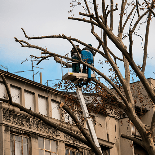 Customer Satisfaction First