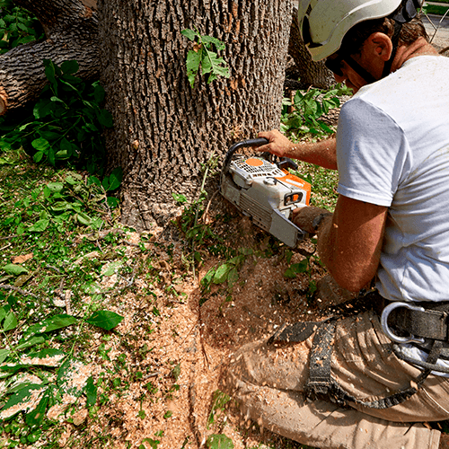 Excellence In Service