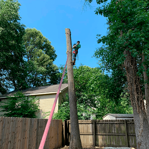 Reliable, Efficient, & Professional